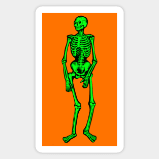 Green Skeleton Sticker